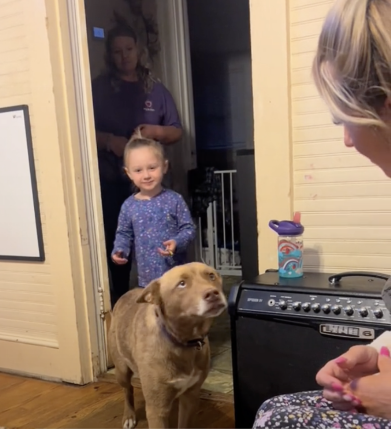 Dog’s Emotional Reunion with Her Owner